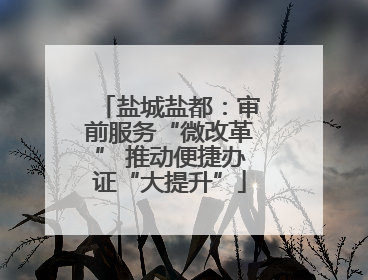 盐城盐都：审前服务“微改革” 推动便捷办证“大提升”